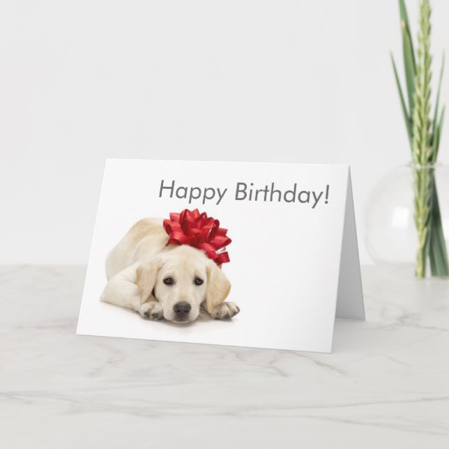 Carte Labrador Retriever Happy Birthday Card (Devant)