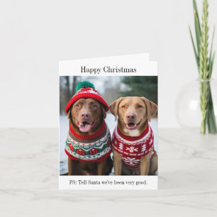 Carte Labrador Retrivers in Christmas Jumpers Card