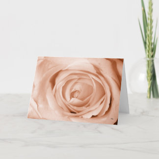 Carte L'abricot léger, obtiennent bien bientôt