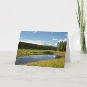 Carte Lac des Cygnes I dans le parc national de Grand Te