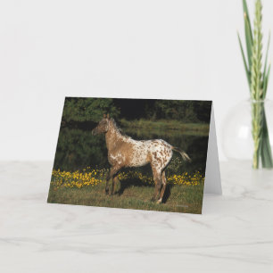 Carte Lac se tenant prêt horse d'Appaloosa