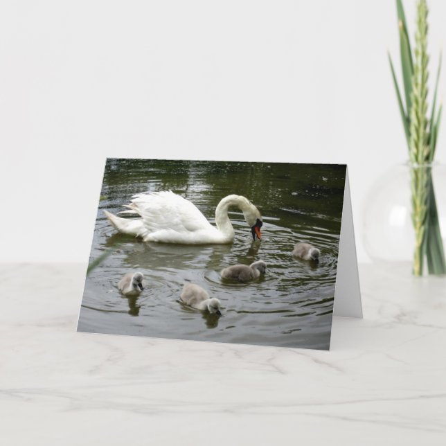 Carte Lac Swan (Devant)