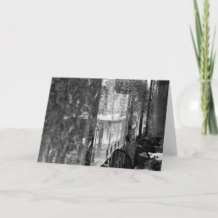 Carte Lace View Card