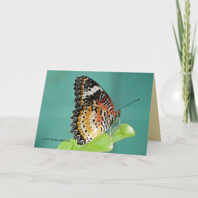 Carte Lacewing rouge Buterfly (Devant)