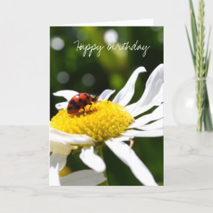 Carte Ladbybug et Daisies