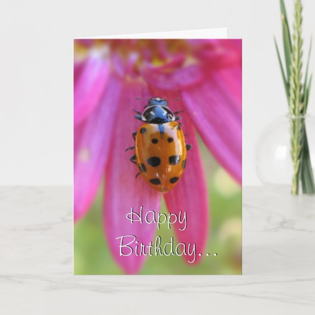 Carte Ladybug Birthday Card (Devant)