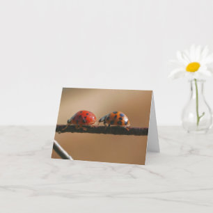 Carte Ladybug Buddies Nature Photographie Note