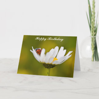 Carte Ladybug dans Oxeye Daisy Birthday Card