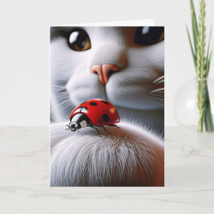 Carte Ladybug Et Chat Anniversaire