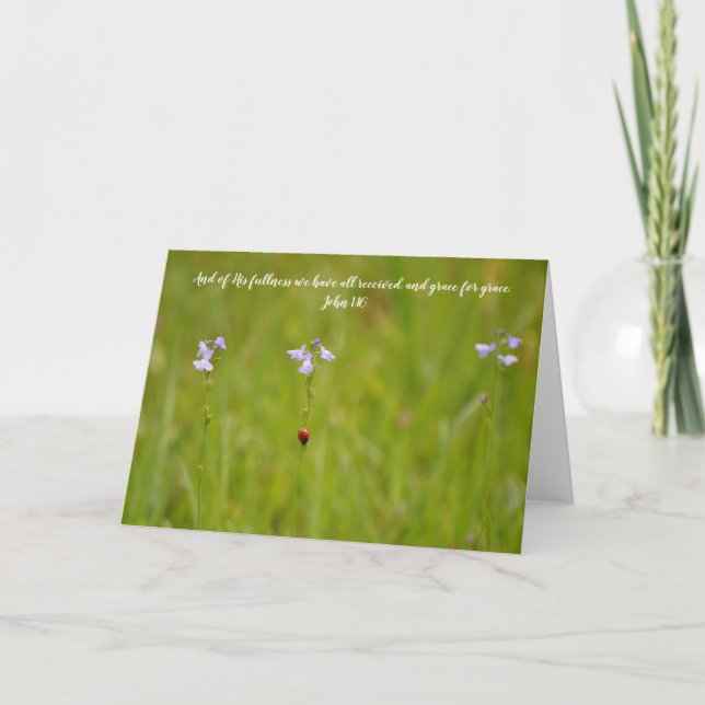 Carte Ladybug Grace Scripture Card John 1:16 (Devant)