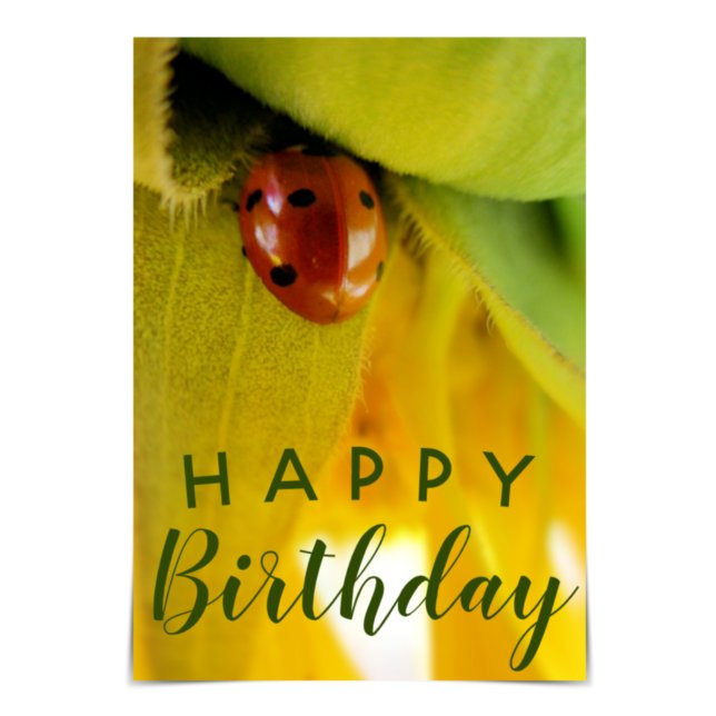 Carte Ladybug "Joyeux Anniversaire" (Créateur téléchargé)