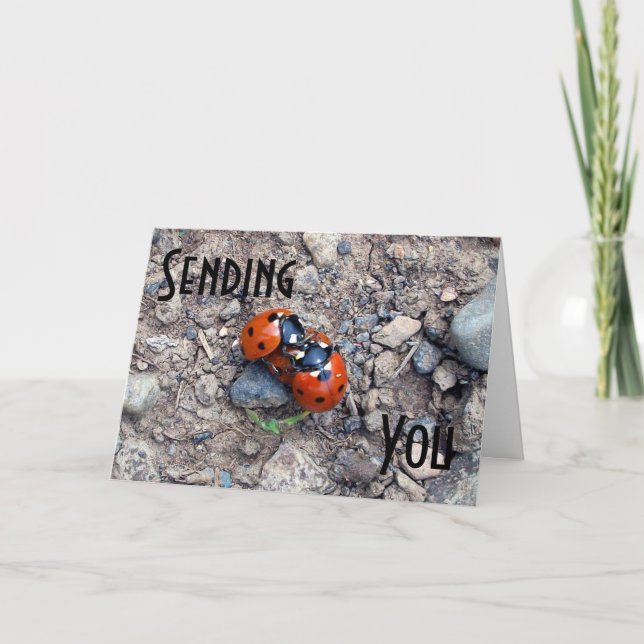 Carte Ladybug Kisses (Devant)