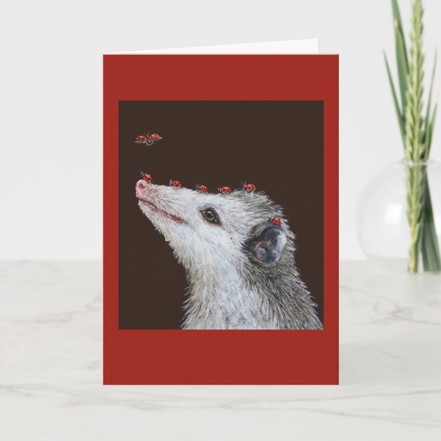 Carte Ladybug Launchpad card (Devant)