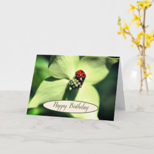 Carte Ladybug Sur La Fleur De Dogwood Anniversaire 