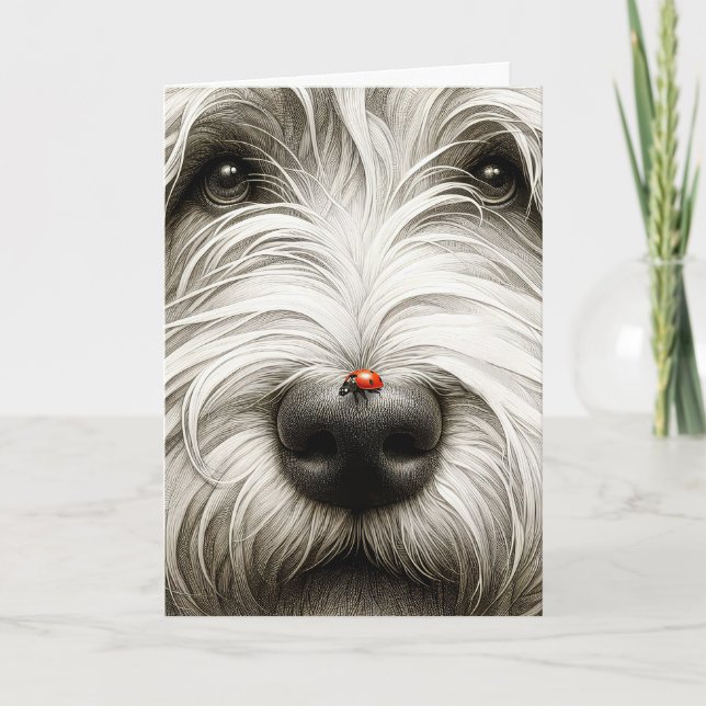 Carte Ladybug sur le nez de Shaggy Dog (Devant)