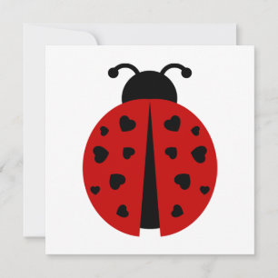 Carte ladybugz.