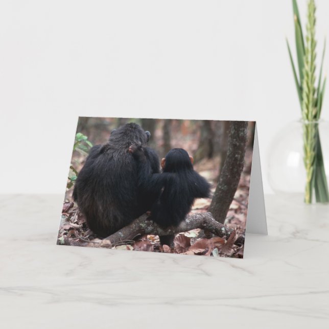 Carte L'Afrique, Afrique de l'Est, Tanzanie, (Devant)