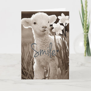 CARTE **L'AGNEAU BÉBÉ DOUX EST SI HEUREUX POUR VOUS** FÉ