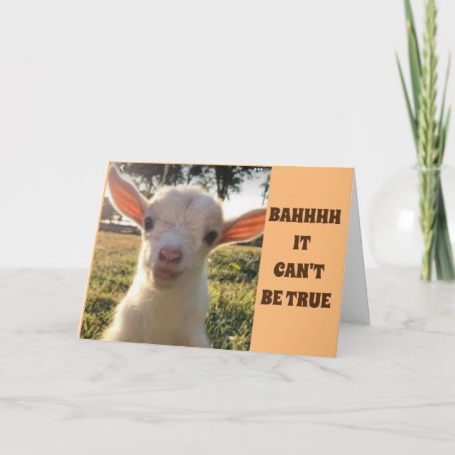 CARTE L'AGNEAU NE PEUT JUSTE PAS CROIRE QUE VOUS ÊTES *8 (Devant)