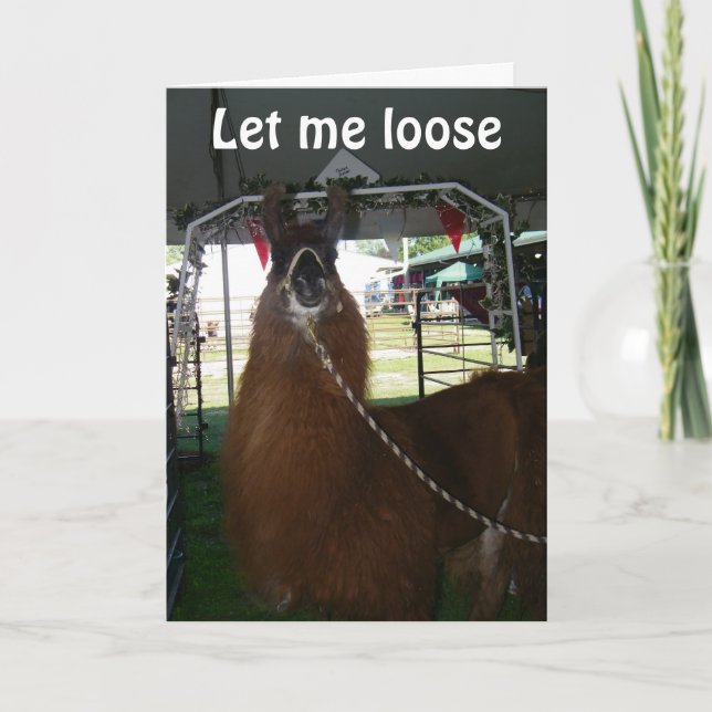 CARTE LAISSEZ-MOI PERDRE POUR DIRE HEUREUX ANNIVERSAIRE  (Devant)