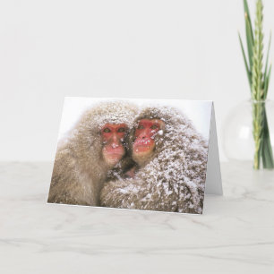 Carte l'amour conquiert tous