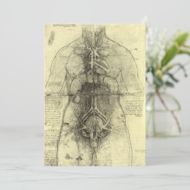 Carte L'anatomie humaine de Léonard de Vinci, Torse fémi (Debout devant)