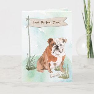 Carte L'anglais Bulldog se sent mieux après la chirurgie