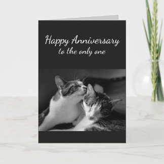 Carte L'anniversaire a aimé un humour de chat