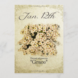 Carte L'anniversaire fleurit le 12 janvier "l'alyssum