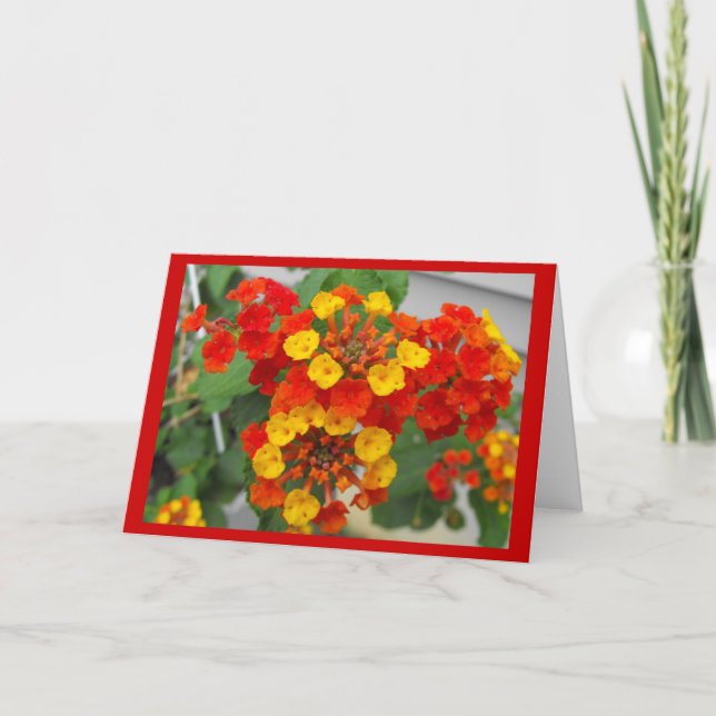 Carte Lantana (Devant)