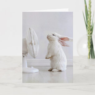 Carte Lapin à oreilles tombantes blanches d'anniversaire