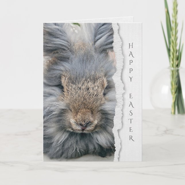 Carte lapin d'angora gris pour Pâques (Devant)