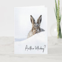 Lapin d'anniversaire regardant par-dessus une cong