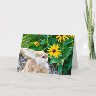 Carte lapin dans le jardin