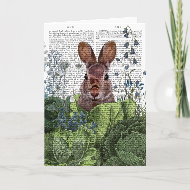 Carte Lapin dans une patte de chou (Devant)