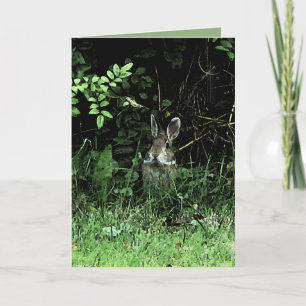 Carte Lapin de frère