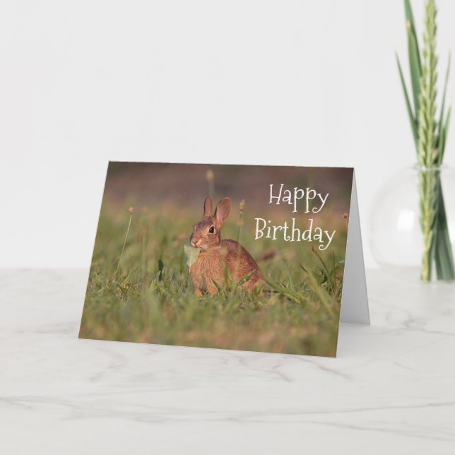 Carte Lapin de lapin (Devant)