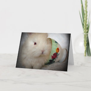 Carte Lapin de Pâques Toutes Occasions