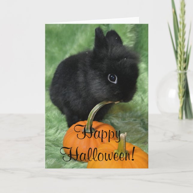 Carte Lapin heureux de Halloween (Devant)