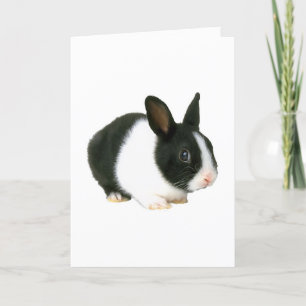 Carte Lapin noir et blanc