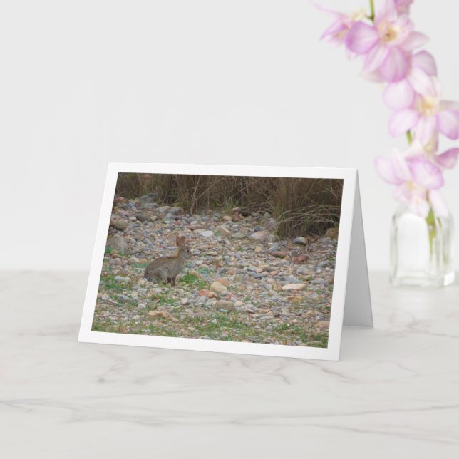 Carte Lapin sauvage en campagne (Orchidée)