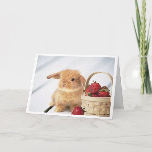 Carte Lapins et fraises (Devant)