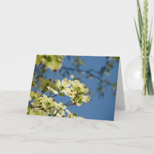 Carte L'arbre de cornouiller fleurit le ciel bleu de