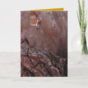 Carte Larmes en bois