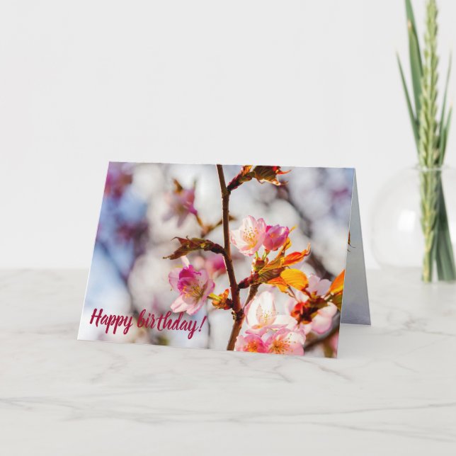 Carte L'Art Du Cerisier Fleurit Un Jour Ensoleillé (Devant)