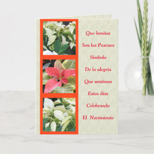 Carte Las Pascuas son simbolo de alegria en la Navidad