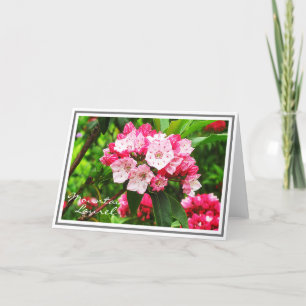 Carte Laurel de montagne rose et blanc