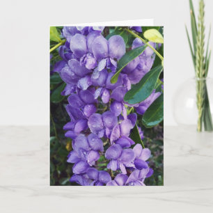 Carte Laurel de montagne violet