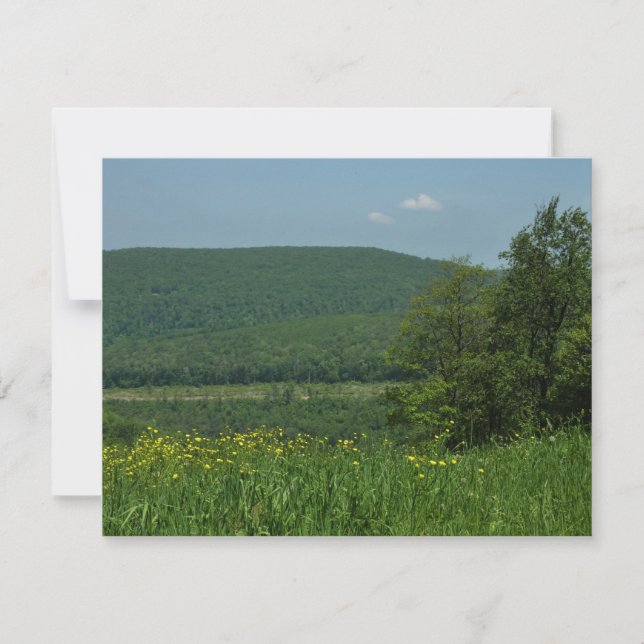 Carte Laurel Highlands Pennsylvania Summer Photography (Devant)