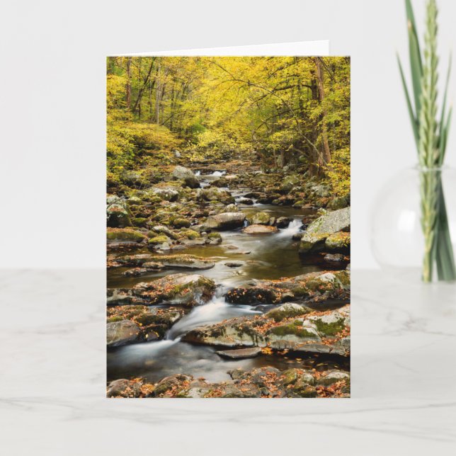 Carte L'automne à Big Creek (Devant)